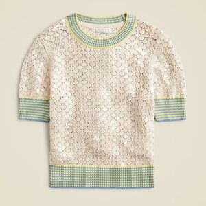 NWT Jcrew Sequin pointelle sweater tee sz XL L 12